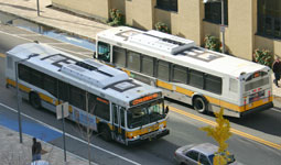 MBTA buses